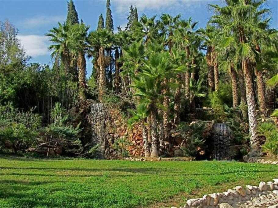 Novelda Centro Habitaciones Con Bano Privado Y Compartido , Cocina Y Terraza Εξωτερικό φωτογραφία