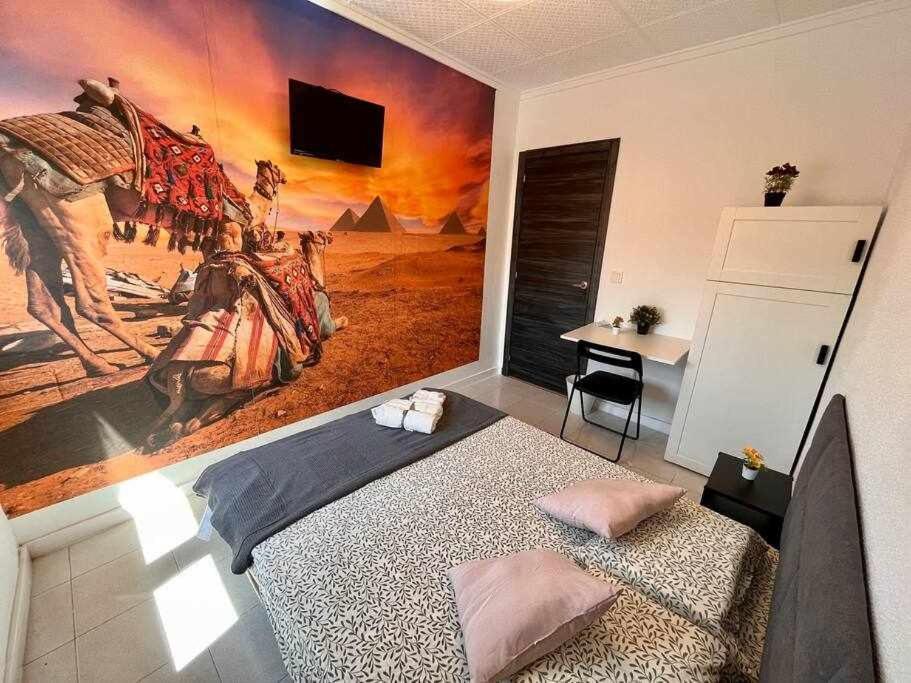 Novelda Centro Habitaciones Con Bano Privado Y Compartido , Cocina Y Terraza Δωμάτιο φωτογραφία